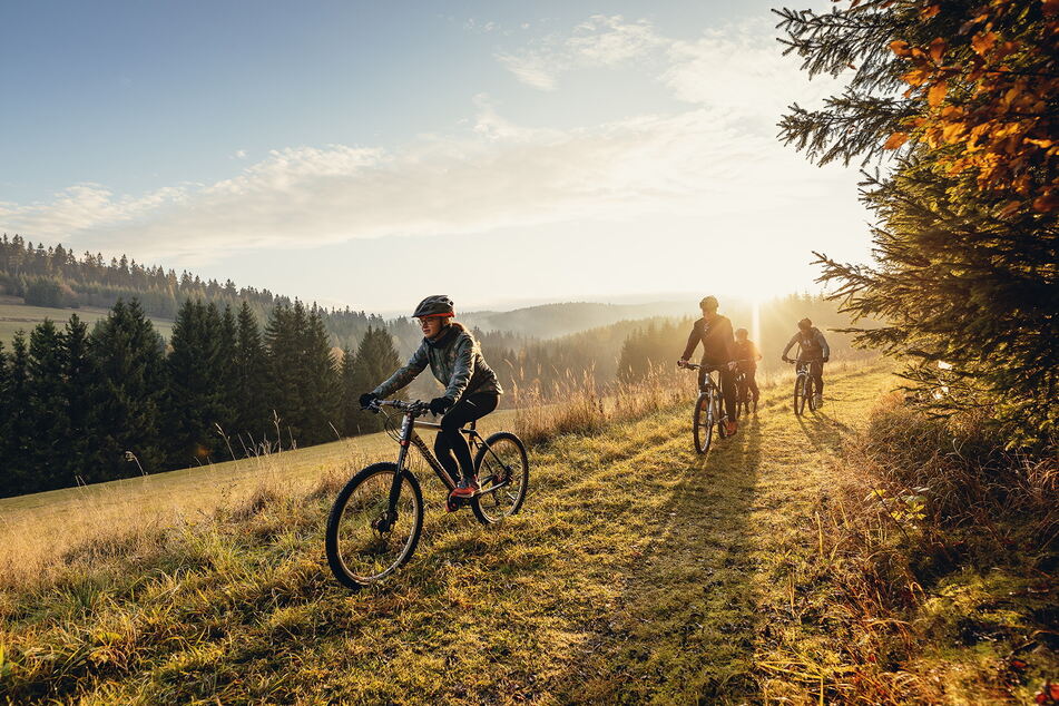 Auf der "Blockline" können Rad-Enthusiasten sich auf 140 Kilometern durch das Erzgebirge auspowern.