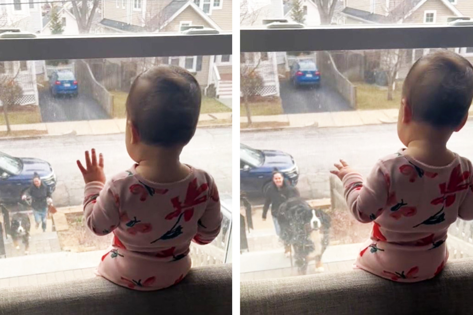 Hund und Baby sehen sich durchs Fenster: Was dann passiert, lässt Herzen schmelzen