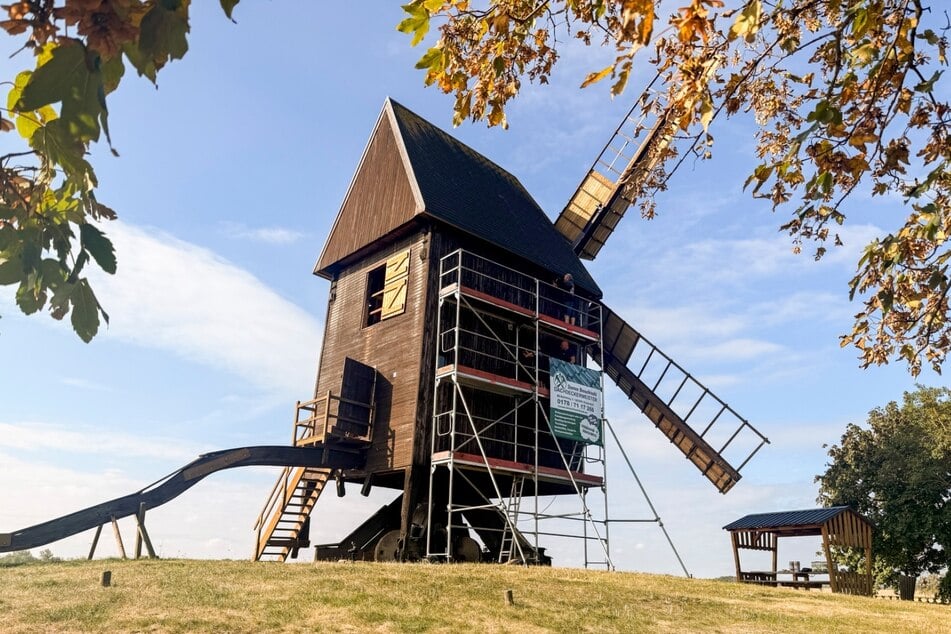 Libehnas Wahrzeichen: Die Bockwindmühle soll bald wieder richtig mahlen können.