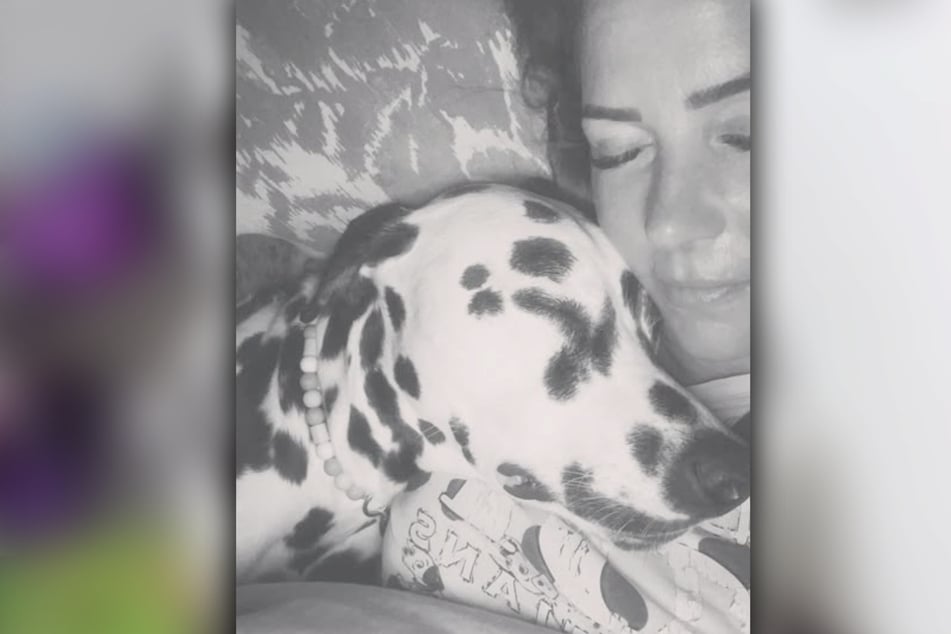 Die Familie Diekmeier trauert um Hund Diesel, der gerade mal ein Jahr bei ihr war.