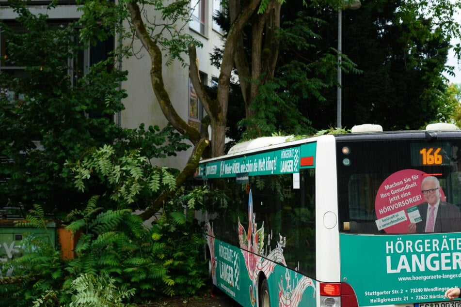 Bus rammt Baum: Dutzende Verletzte bei Unfall mit Linienbus!