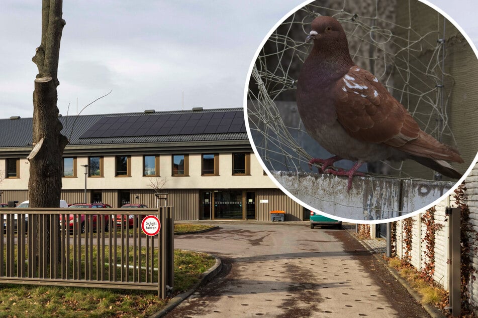 Dresden: Dickes Lob von PETA: Dresdner Veterinäramt ist das Beste seiner Art