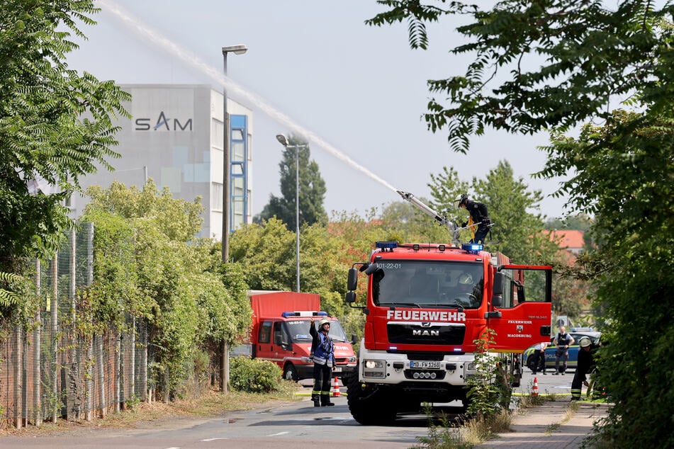 Immer im Einsatz für Eure Sicherheit: Feuerwehrleute bei der Arbeit in Magdeburg.