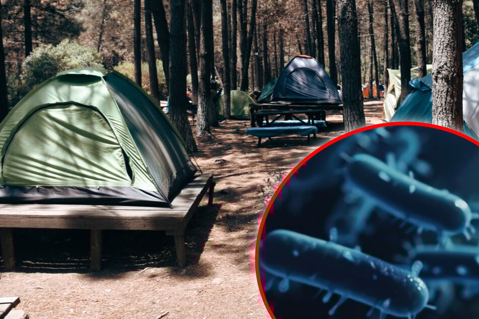 Camping-Ausflug endet dramatisch: Mann an Pest erkrankt