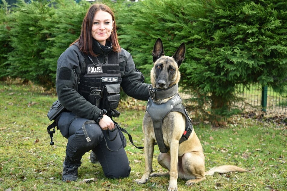 Ermittlungserfolg für den Belgischen Schäferhund Seiko und seine Hundeführerin.