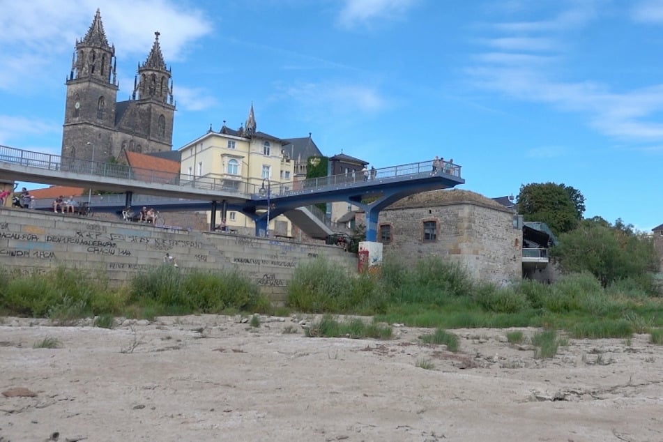 Am Domfelsen sammeln sich viele Schaulustige und machen Fotos von der ausgetrockneten Elbe.