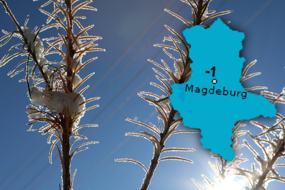 Der Frost kommt zurück. In Sachsen-Anhalt wird es wieder Minusgrade geben.