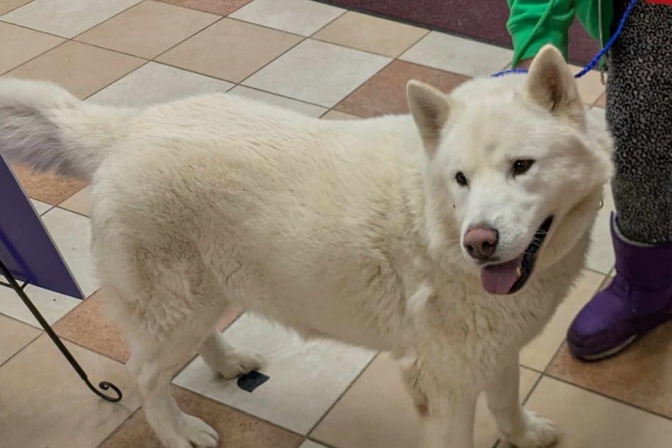 Rüde Walker trug seit anderthalb Jahren ein Geheimnis mit sich herum.