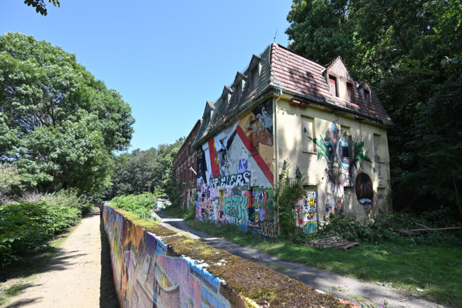 Die "Kunstplantage" an der Zwickauer Mulde: Das "Tausendfüßer"-Festival wurde hier am Samstag vorzeitig abgebrochen.