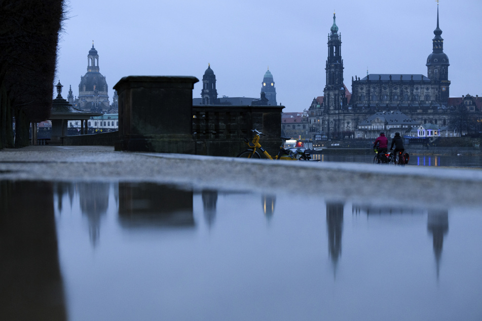 Dresden: Der verregnete Sommer hat doch etwas Gutes für Dresden
