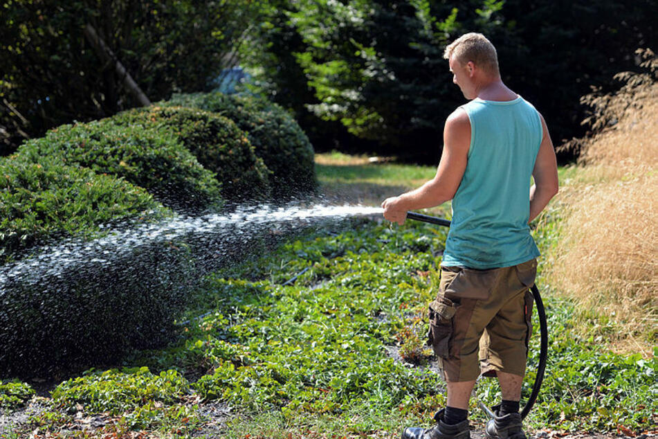 Die ersten Landkreise verfügen: Gießen ja, aber nicht mehr mit Wasser aus Fließgewässern.