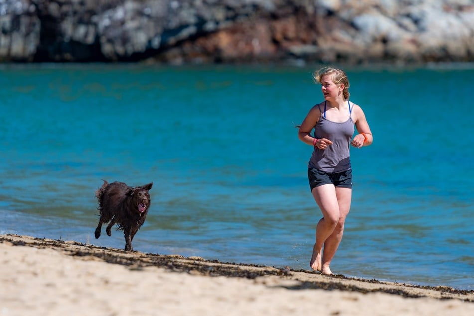 What could be better than spending the day at the beach with your dog?