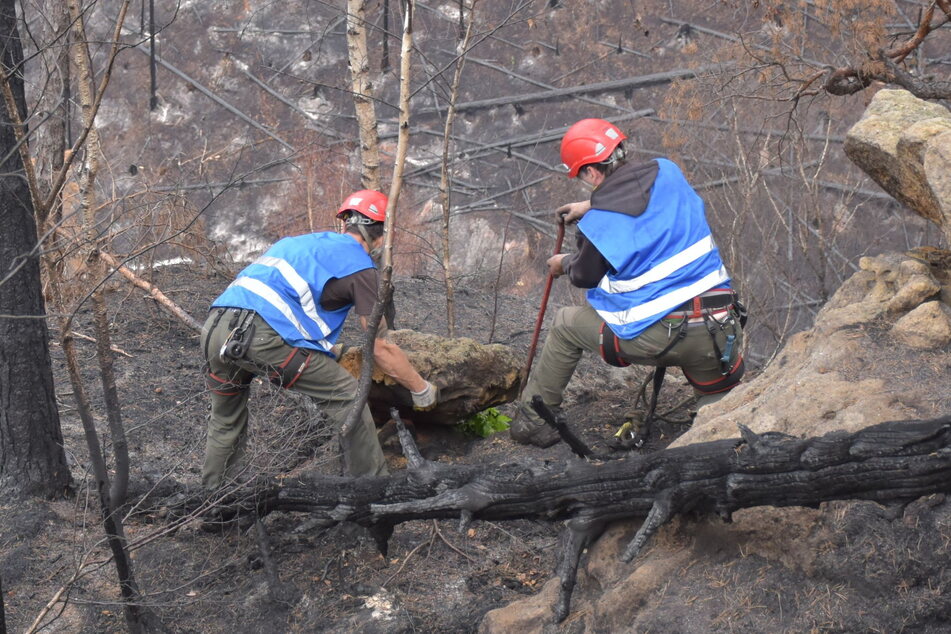 Waldarbeiter bei Aufräumarbeiten am Weg zum Prebischtor.