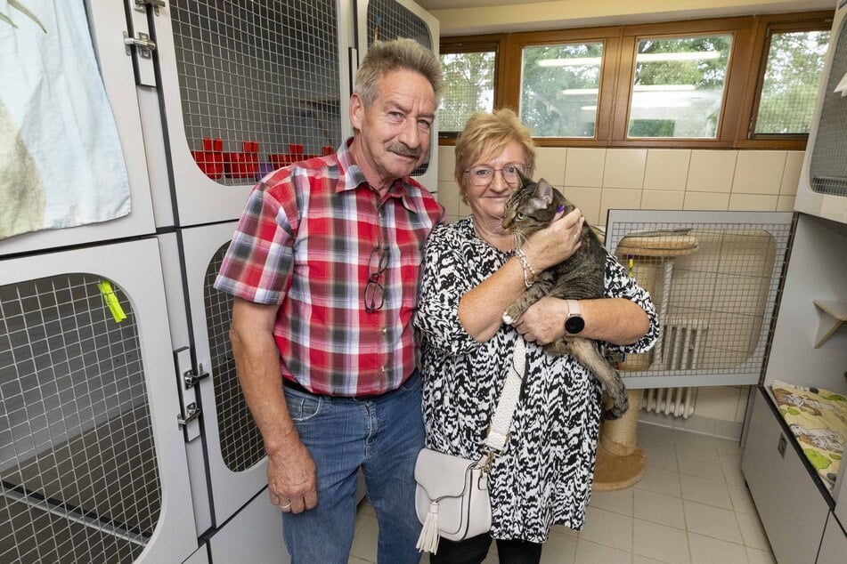 Monika (68) und Harald Köhler (68) durften sich ausnahmsweise für dieses Foto mit ihrer zukünftigen (?) Katze fotografieren lassen.