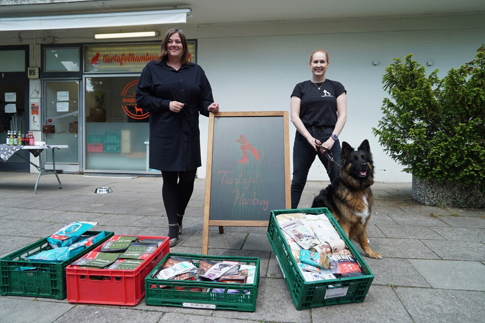 Hamburg: Gute Nachrichten für Fellnasen - Hamburger Tiertafel bekommt 125.000 Euro