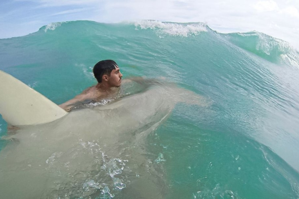 Brandon begleitet den Raubfisch ins Meer.