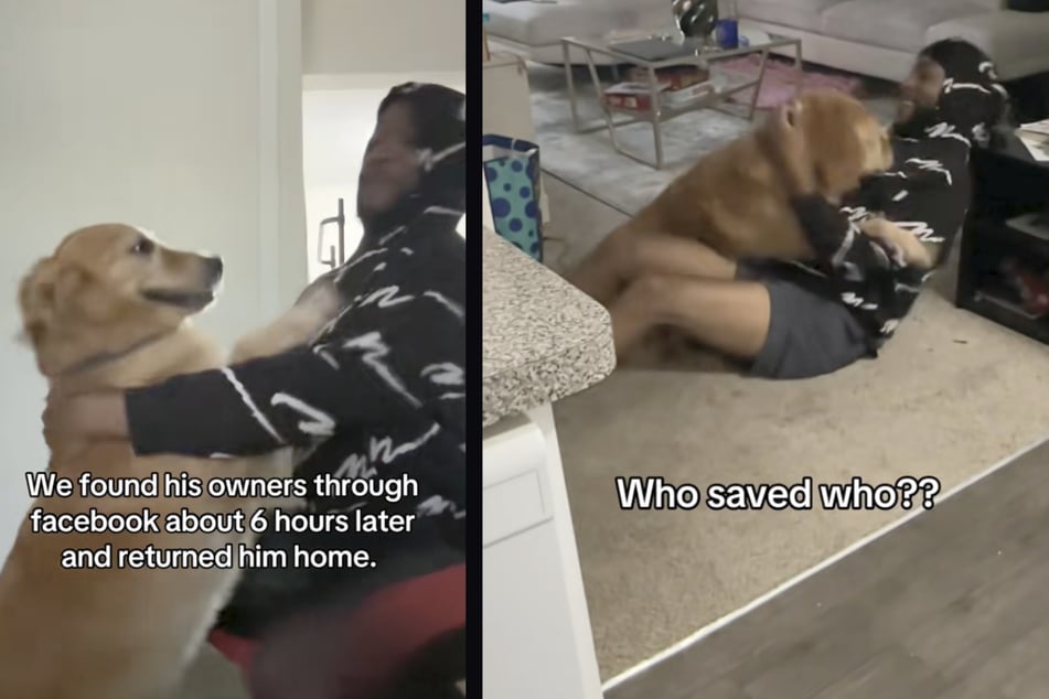 Er und Vierbeiner Charly verstanden sich auf Anhieb gut. Später brachte Marcellous den Hund aber wieder zu seinen rechtmäßigen Besitzern.
