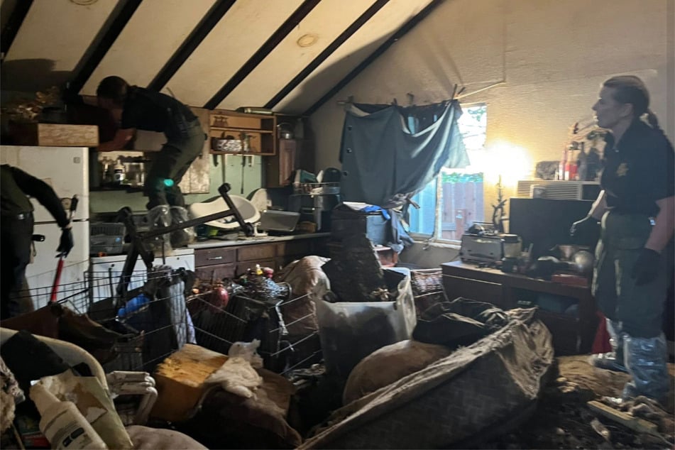 Die Küche des Hauses war komplett zugestellt und erschwerte somit den Einsatz der Helfer.