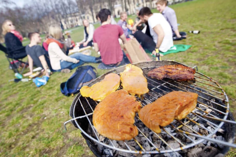 In den Parks in Erfurt bleibt das Grillen verboten. (Symbolfoto)