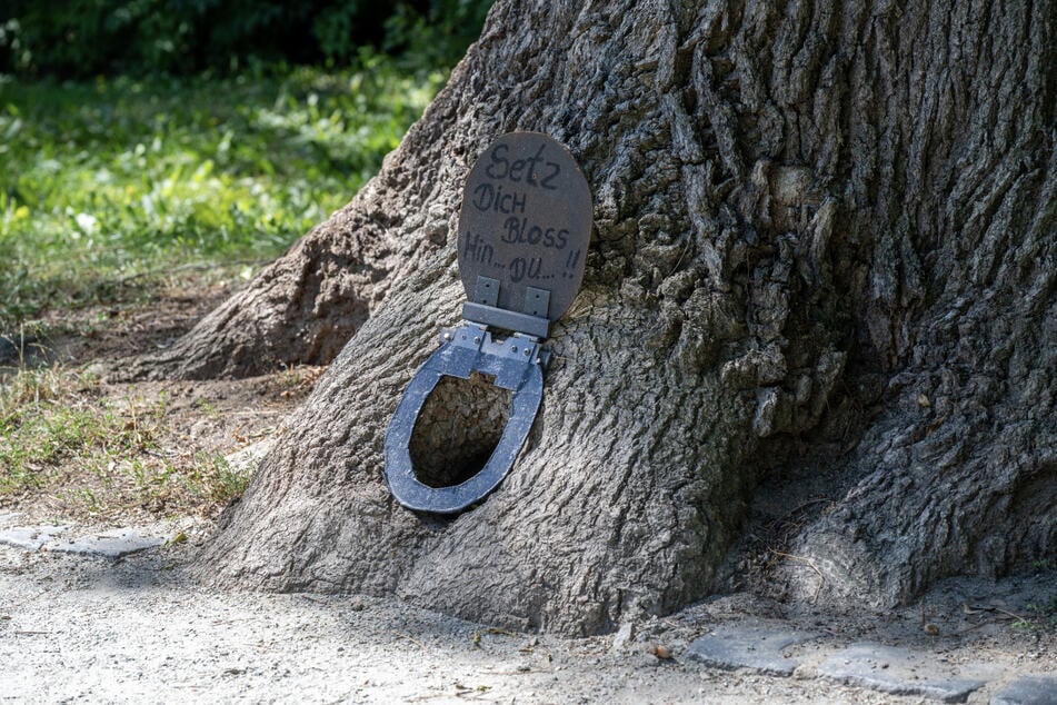 Jemand hat sich wohl einen Scherz erlaubt und den Klodeckel über einem Loch im Baumstamm angebracht.