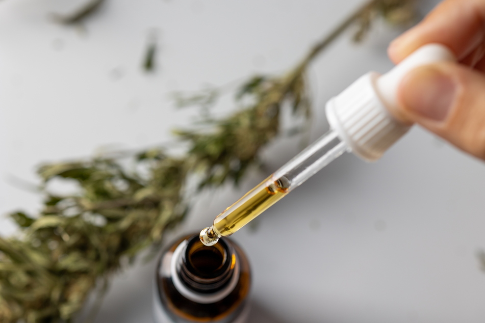 CBD-Öl wird aus Blüten und Blättern der Cannabispflanzen extrahiert. Es wirkt nicht berauschend, kann aber Schmerzen lindern.