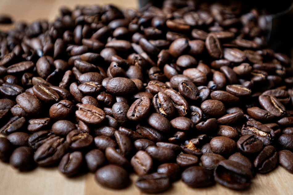 Wurde für diese Kaffeebohnen Wald gerodet? (Archivbild)