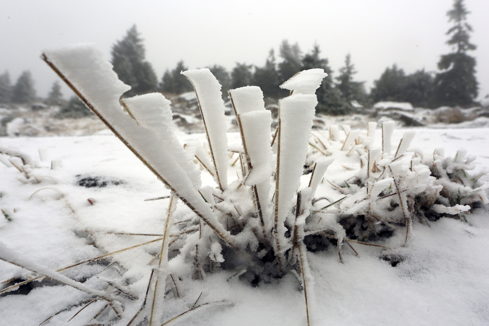 Der Schnee verwandelte den Brocken am Freitag in ein kleines Winterwunderland.