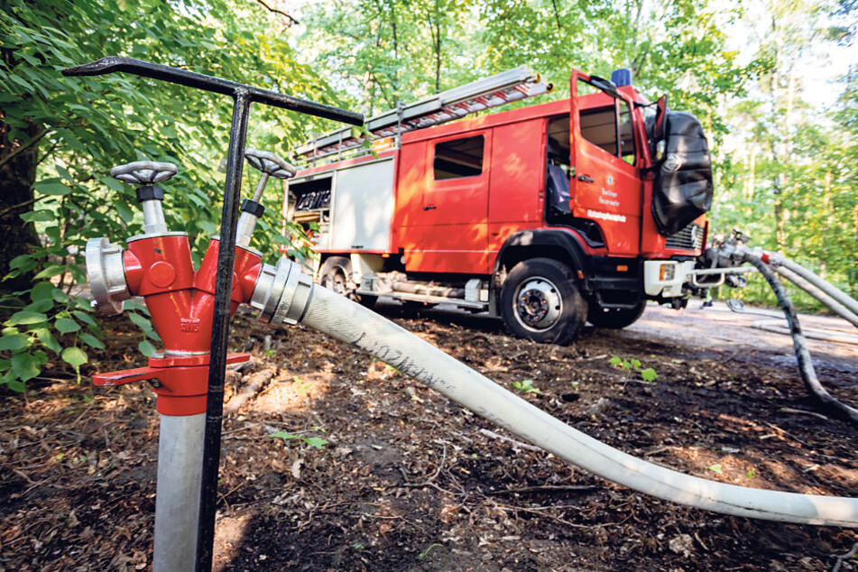 Um den Brand in einem stadtnahen Waldpark zu löschen, entnimmt die Feuerwehr Wasser aus einem Hydranten. In ländlichen Gemeinden ist es teilweise nicht möglich, Hydranten so zu nutzen.