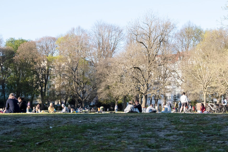 Menschen sitzen im Kieler Schrevenpark und genießen mit Abstand zueinander die Abendsonne.