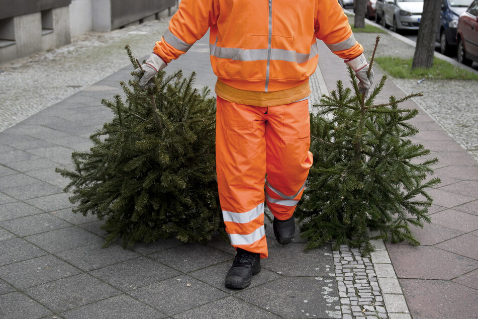 Wer den Abholtermin in seiner Straße verpasst hat, kann den ausrangierten Baum auch an einem der Kölner Wertstoff-Center oder an einer der vielen Sammelstellen abgeben.