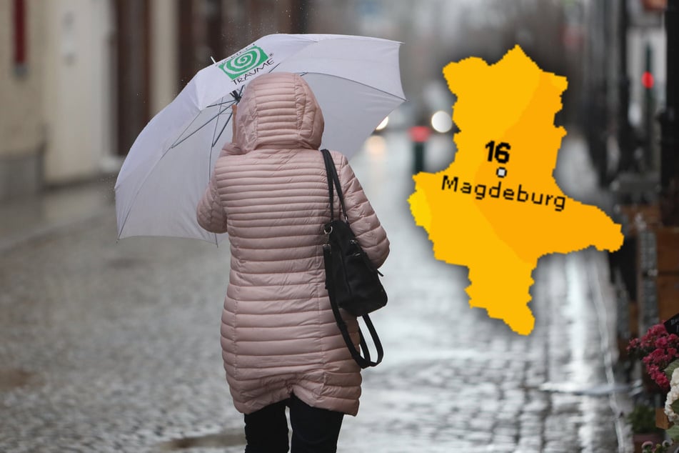 In Sachsen-Anhalt bleibt es in den nächsten Tagen nass und grau. In den Nächten kann der erste Bodenfrost auftreten. (Symbolbild)
