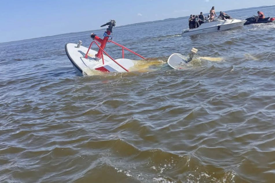 Ein Wal rammte das Feuerwehrboot unter dem Heck – das Einsatzschiff war nicht mehr zu retten.