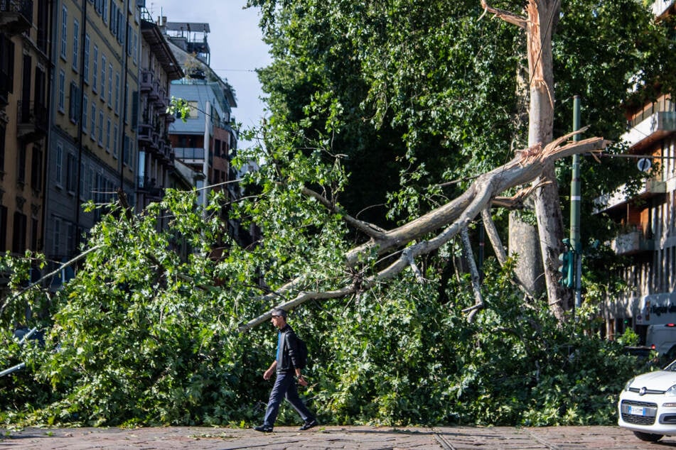 Unwetter mit tragischen Folgen: Mann von Baum erschlagen, Frau im Koma