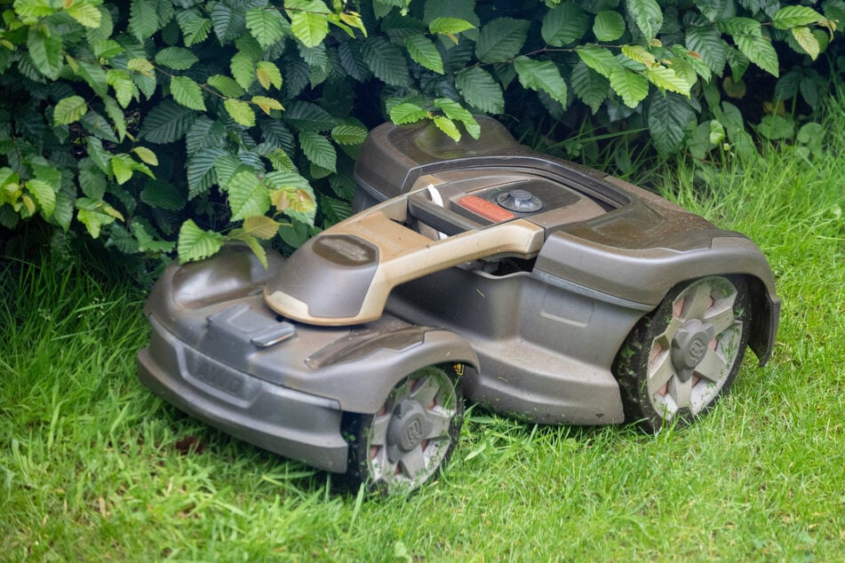 Ein Mähroboter mäht Gras in einem Garten. Nachts stellen die Geräte eine tödliche Gefahr für Igel dar.