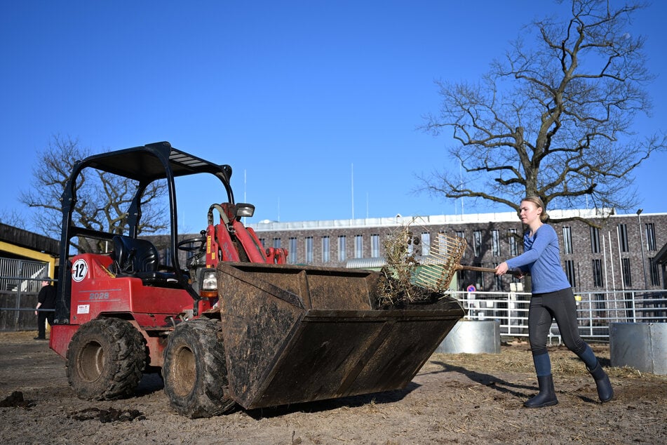 Lange Zeit war der Verein auf der Suche nach einem gebrauchten Radlader.