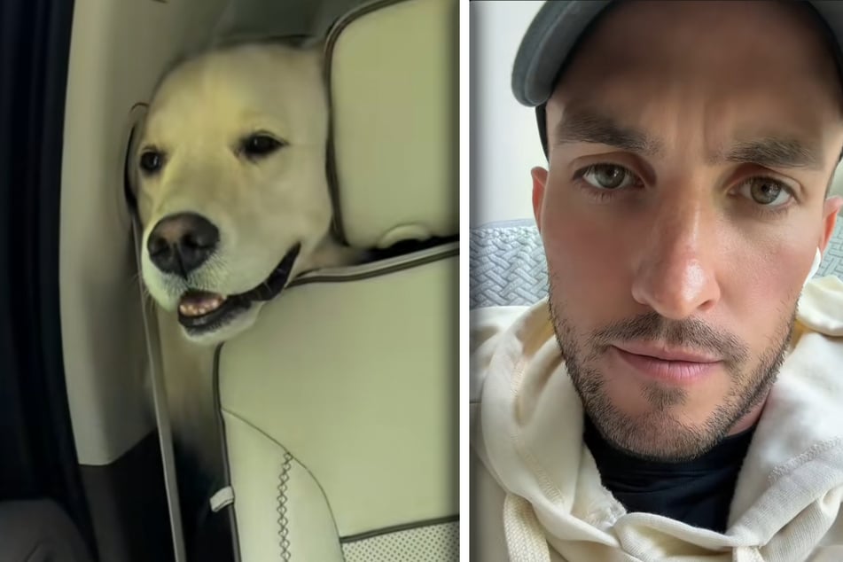 Kurz vor ihrem Taod entstand diese Aufnahme von Golden-Retriever-Hündin Nahla. Ihr Herrchen Johnny Hilbrant (35) brauchte lange, um das zu verarbeiten.