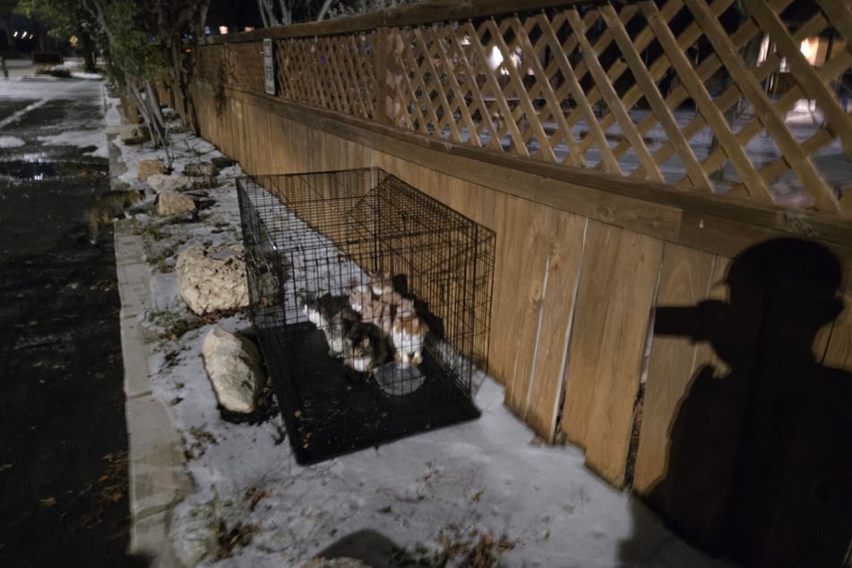 Der Tierkäfig wurde bei frostigen Temperaturen am Wegesrand ausgesetzt.