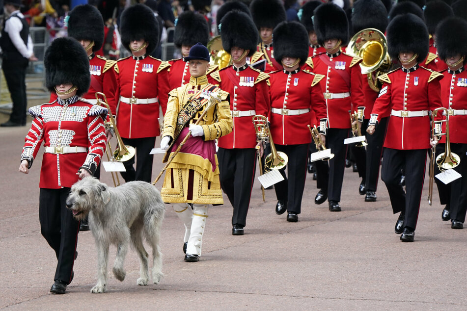 Die Irish Guards mit ihrem Maskottchen - einem Irischen Wolfshund - führen die Parade an.