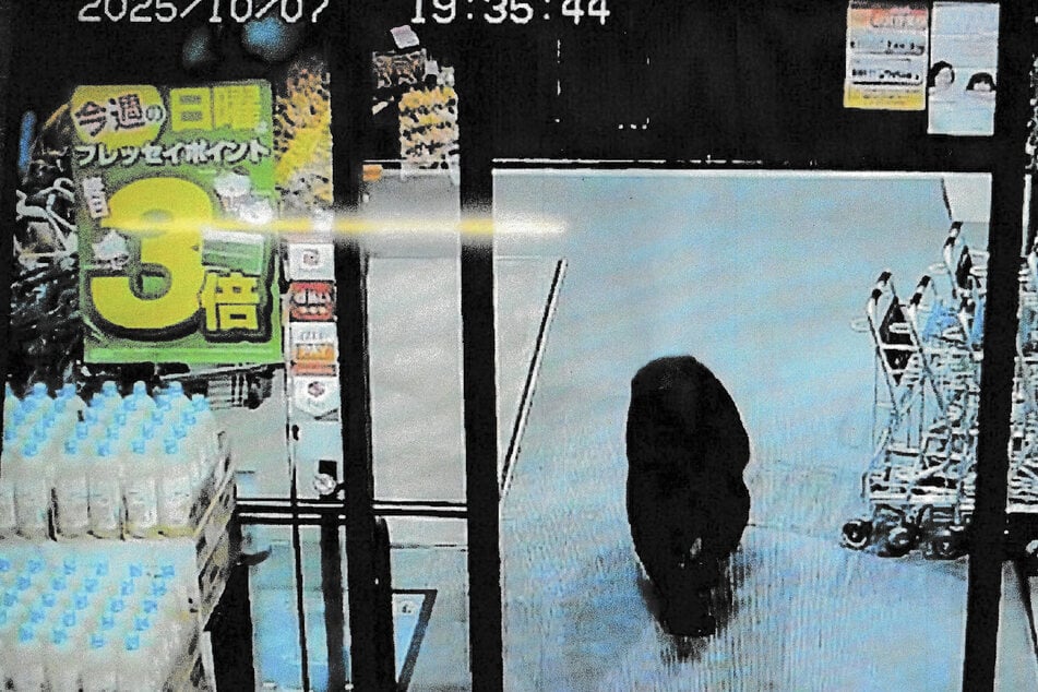 Bear sparks mayhem and injures shoppers after wandering into supermarket