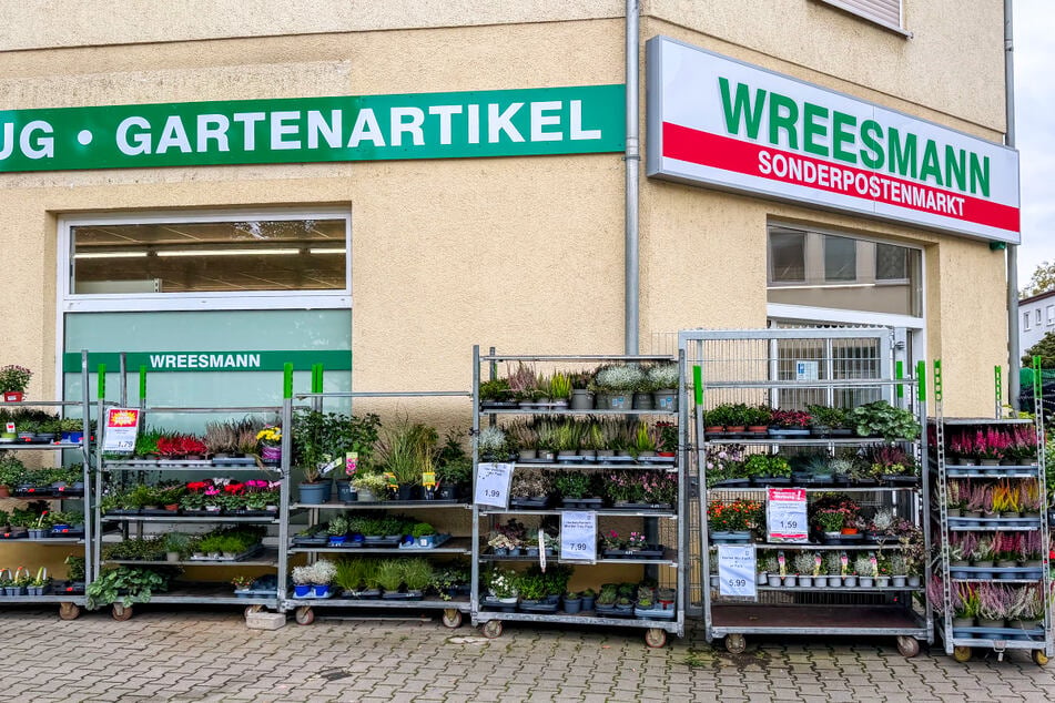 Wreesmann haut am Donnerstag (15.10.) diese Sachen super günstig raus