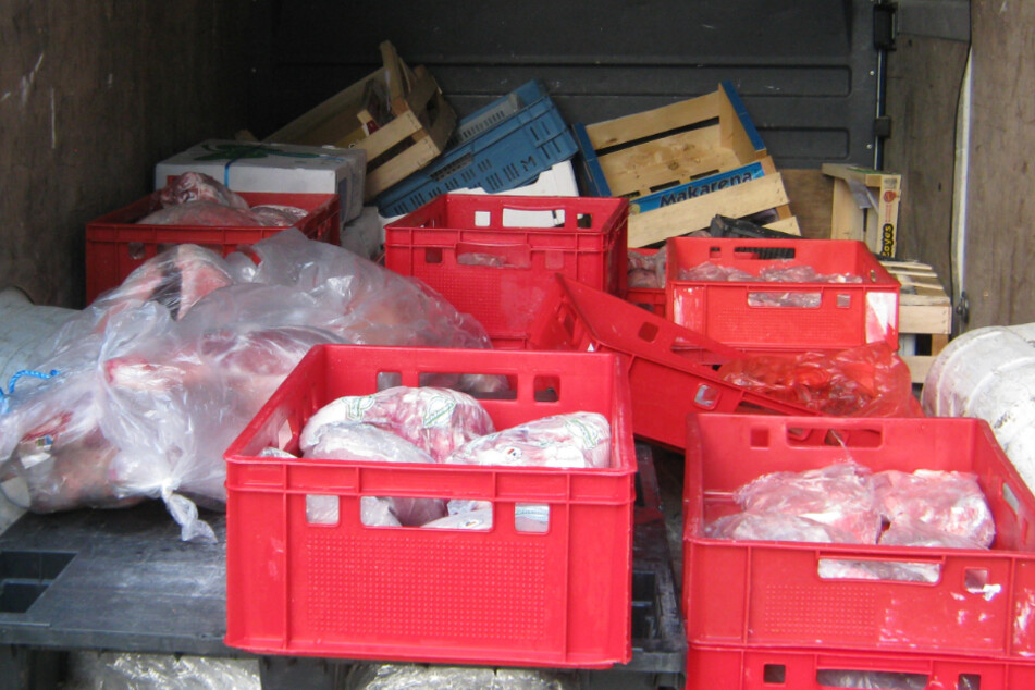 Das Fleisch lag völlig ungeschützt auf der Ladefläche.