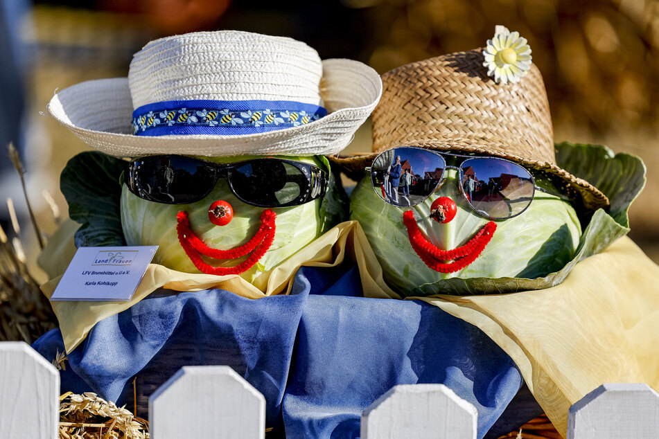 Von Landfrauen dekorierte Kohlköpfe sind auf den Dithmarscher Kohltagen ausgestellt.
