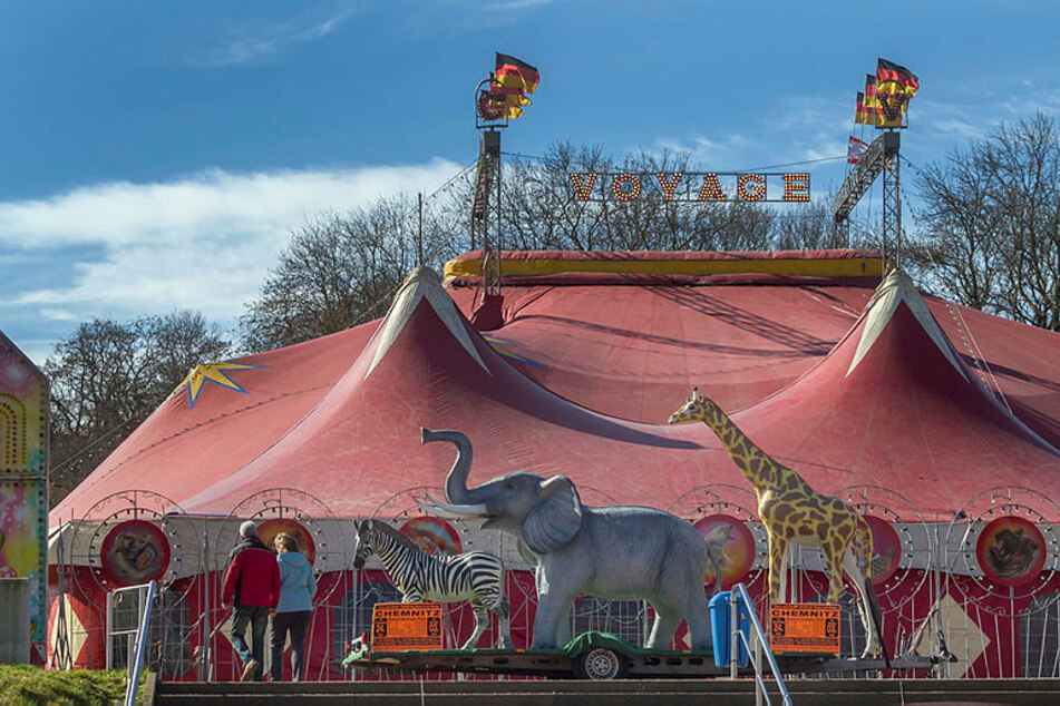 Die Tierschutzorganisation PETA kritisiert den Circus Voyage für seinen Einsatz von Tieren. (Archivbild)