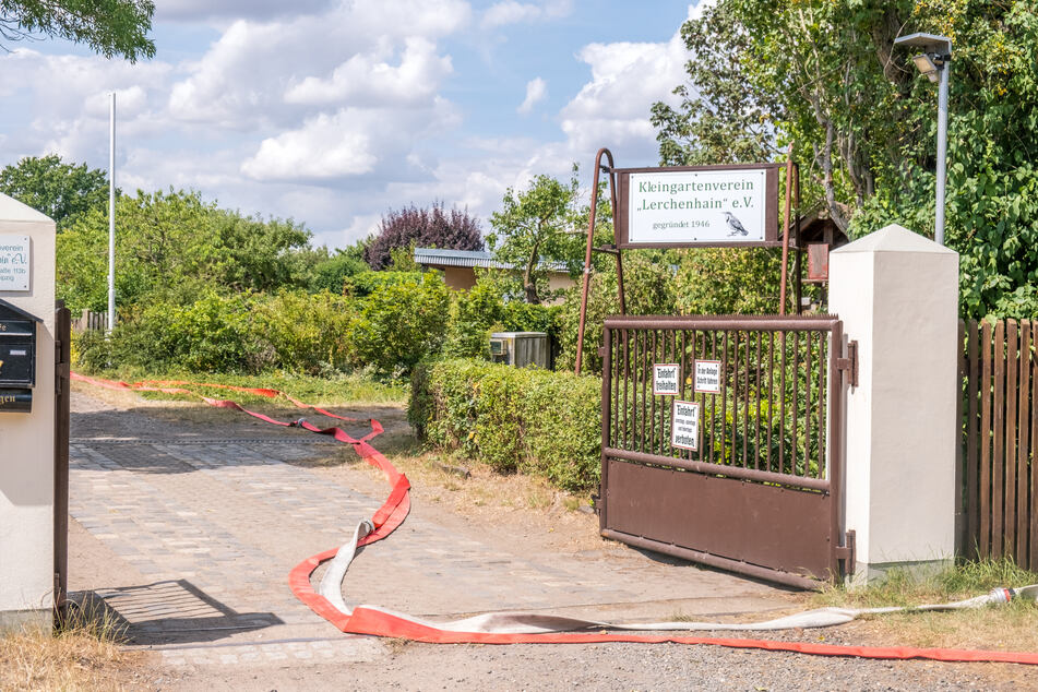 Durch den Einsatz der Feuerwehr konnte der Großteil der Gärten schließlich doch noch gerettet werden. Hunderte Meter lange Löschschläuche führten auch am Freitag noch vom Eingang der Anlage zum Ort der Tragödie.