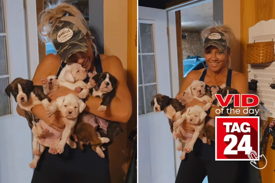 viral videos: Viral Video of the Day for July 10, 2023: Mom brings home all the puppies!
