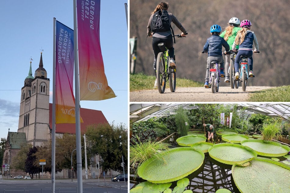 Heute noch nichts vor? Diese Events warten in Magdeburg auf Euch