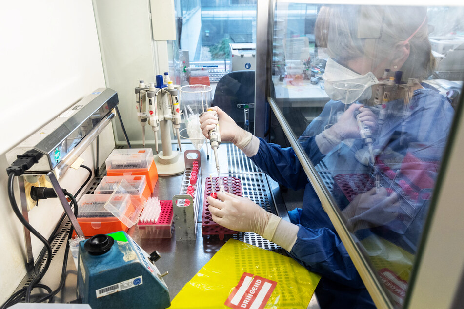 Im Labor des Instituts für Virologie der TU Dresden werden wie am Fließband Corona-Tests durchgeführt.