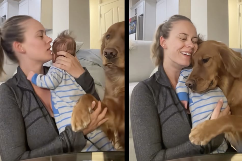 Die junge Mutter strahlt über beide Ohren, als ihr Golden Retriever versucht, das Baby zu trösten.