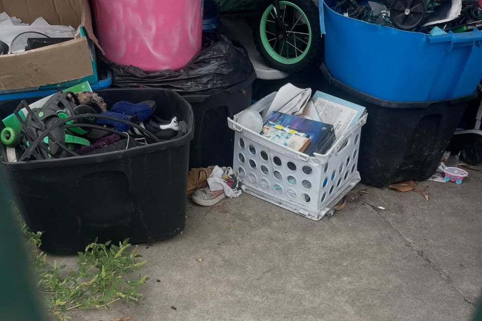 En rincones tan llenos de basura, el perro encontró refugio.