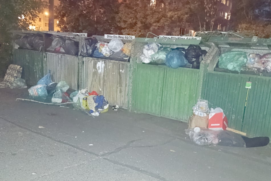 Es wirkt wie ein Bild aus der Dritten Welt, ist aber doch der Müllplatz vor der Haustür am Otto-Dix-Ring. Samt Ratten.